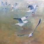 Seagulls. Acrylic on canvas 20 x 20 cm $120.00