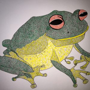 Frog by Jan McGiffen